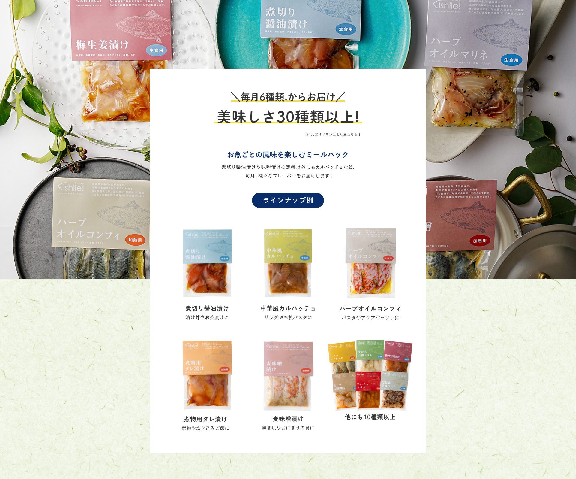 毎月6種類からお届け美味しさ20種類以上！お魚ごとの風味を楽しむミールパック　煮切り醤油漬けや味噌漬けの定番以外にもカルパッチョなど、毎月、定番ラインナップや新フレーバーをお届けします！食のクリエイティブディレクター「TETO TETO」監修 ラインナップ例 煮切り醤油漬け 漬け丼やお茶漬けに 中華風カルパッチョ サラダや冷凍パスタに ハーブオイルコンフィ パスタやアクアパッツァに 煮物用タレ漬け 煮物や炊き込みご飯に 麦味噌漬け 焼き魚やおにぎりの具に 他にも10種類以上 毎月新フレーバー続々 食のクリエイティブプロダクション「TETO TETO Inc」一人暮らしの感度を高めるアイテムやブランド作りを行うクリエイティブプロダクションです。作り手の思いに寄り添い、食材の背景まで伝わるようなモノづくりを心がけています。フィシュルでは、地元九州の食材を中心に、作り手の魅力と食べてのワクワクを感じられるレシピ開発を心がけています。