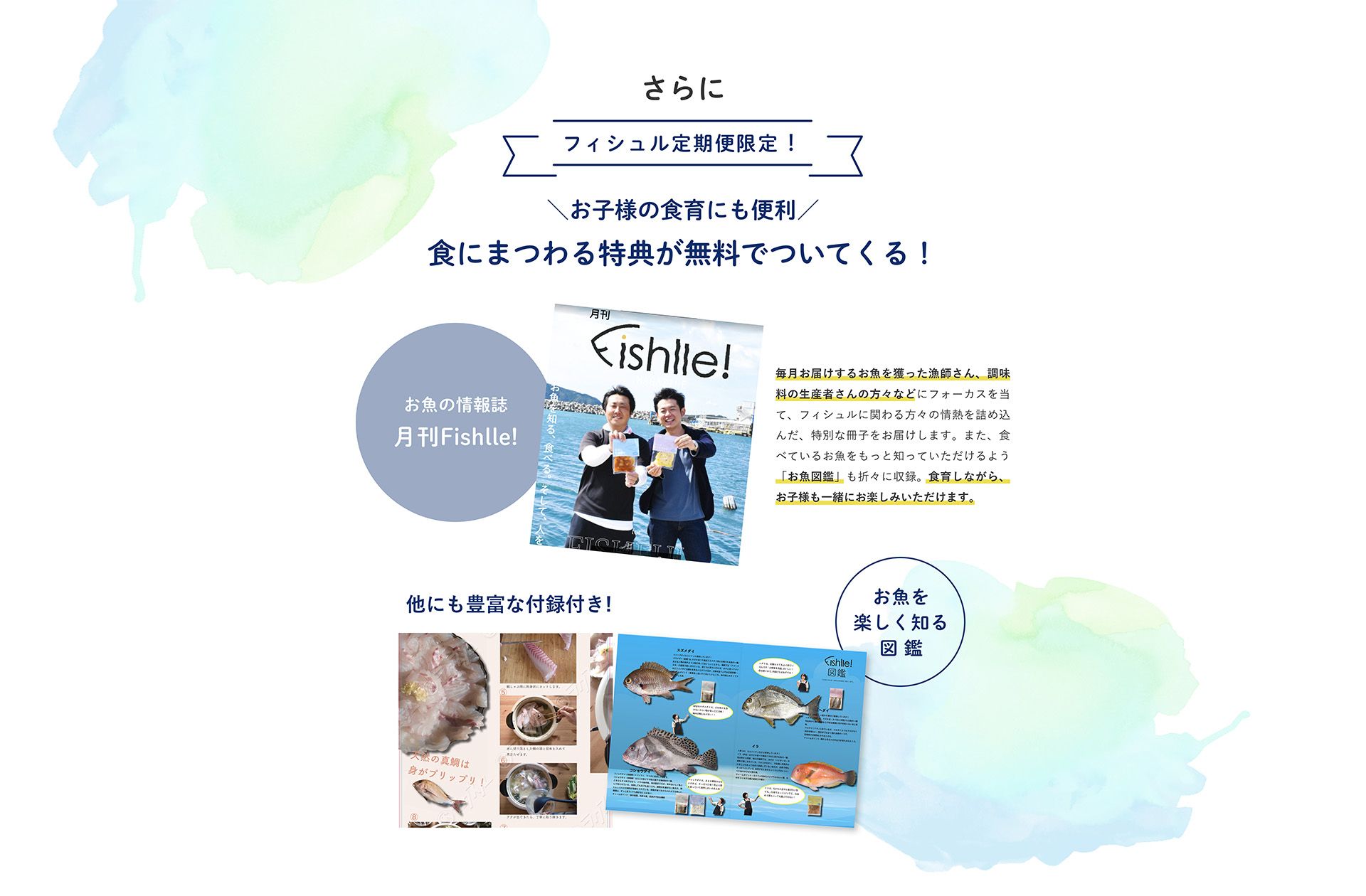 フィシュル定期限定！お子様の食育にも便利　食にまつわる特典が無料でついてくる！毎月お届けするお魚を撮った漁師さん、調味料の生産者さんの方々などにフォーカスを当て、フィシュルに関わる方々の情熱を詰め込んだ、特別な冊子をお届けします。また、食べているお魚をもっと知っていただけるよう「お魚図鑑」も折々に収録。食育ながら、お子様も一緒にお楽しみいただけます。他にも豊富な付録付き！お魚を楽しく知る図鑑