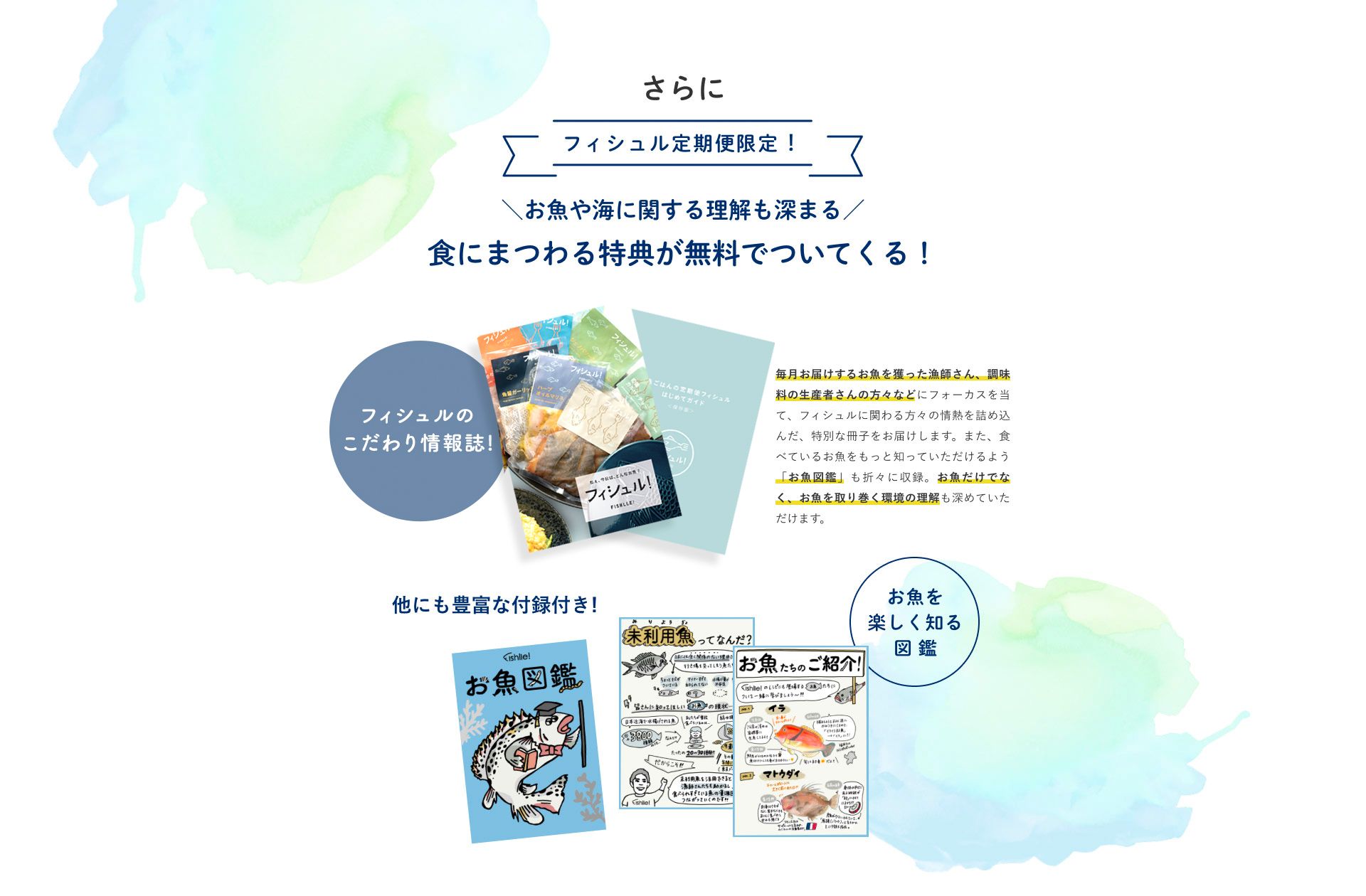 フィシュル定期限定！お子様の食育にも便利　食にまつわる特典が無料でついてくる！毎月お届けするお魚を撮った漁師さん、調味料の生産者さんの方々などにフォーカスを当て、フィシュルに関わる方々の情熱を詰め込んだ、特別な冊子をお届けします。また、食べているお魚をもっと知っていただけるよう「お魚図鑑」も折々に収録。食育ながら、お子様も一緒にお楽しみいただけます。他にも豊富な付録付き！お魚を楽しく知る図鑑