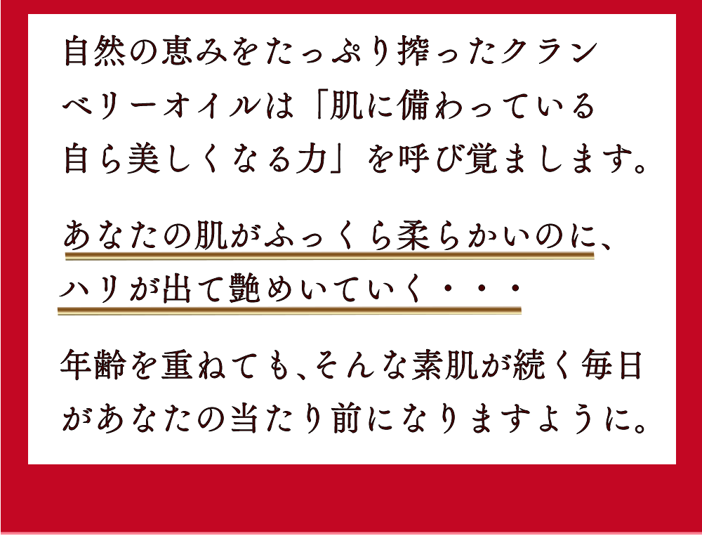 5つの約束