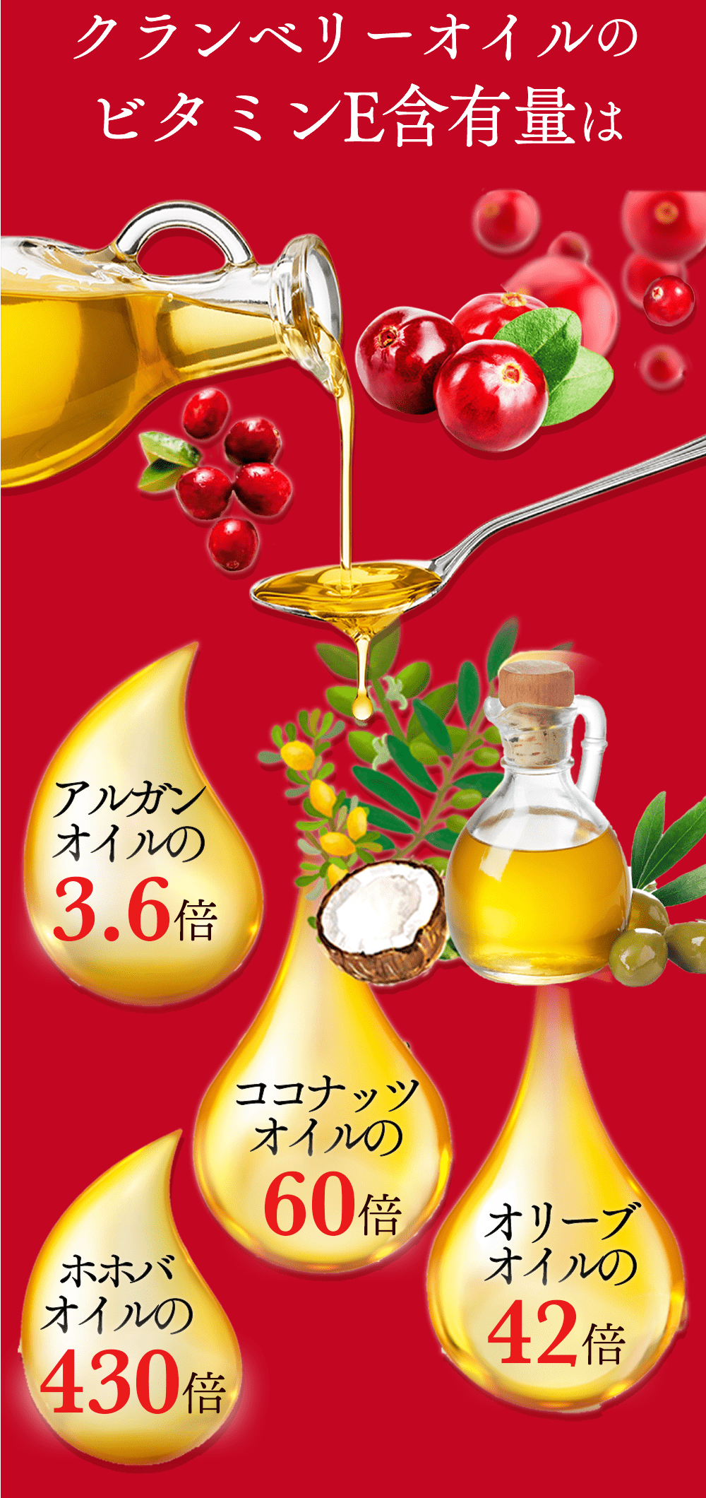 選ばれる3つの理由