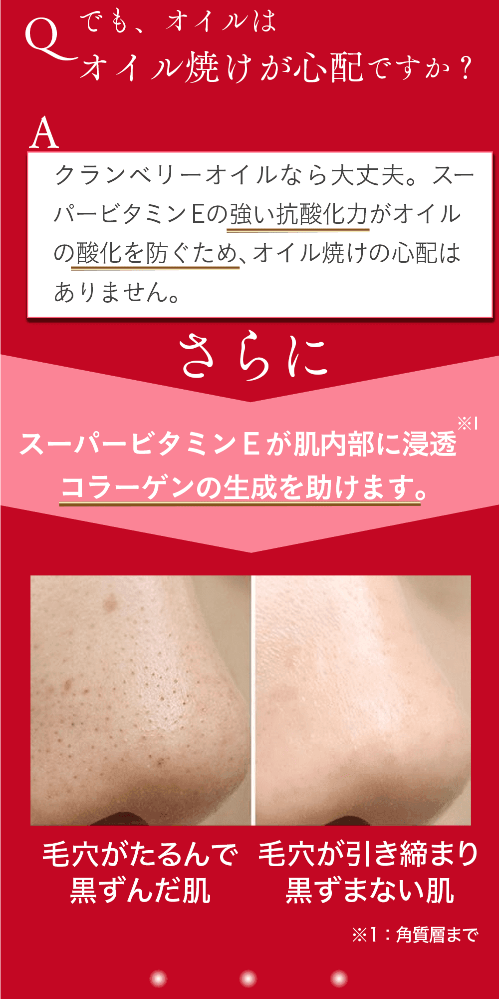 ザ・セラムトライアルセット