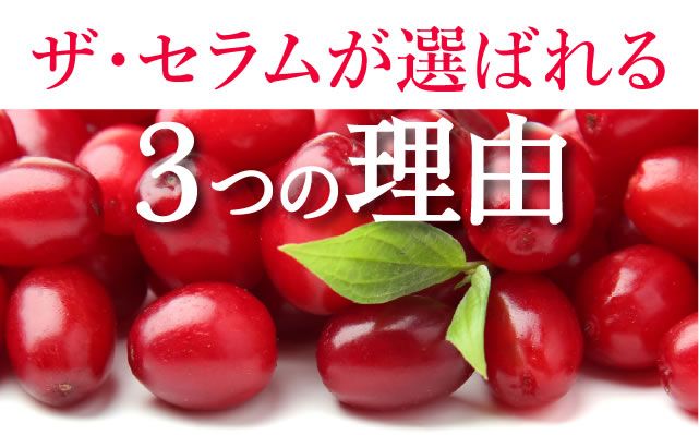 選ばれる3つの理由