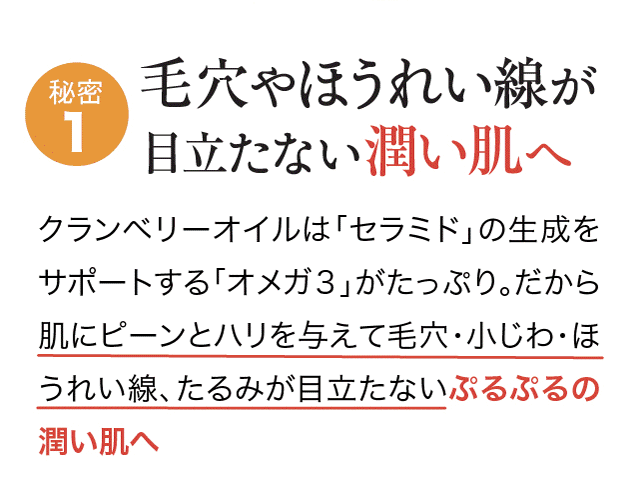 選ばれる3つの理由