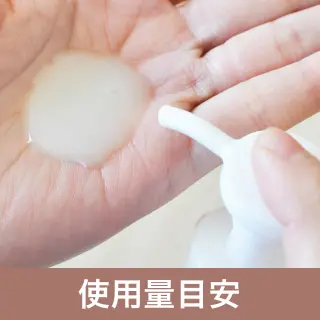 使用量目安