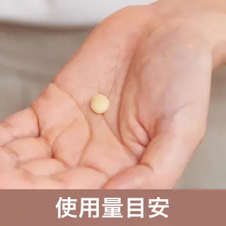 使用量目安