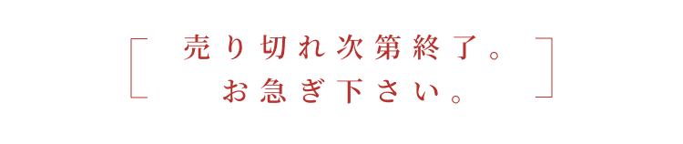
売り切れ次第終了。
お急ぎ下さい。
        