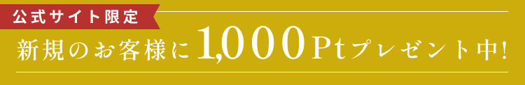 
公式サイト限定
新規会員登録で1,000ptプレゼント中！
        