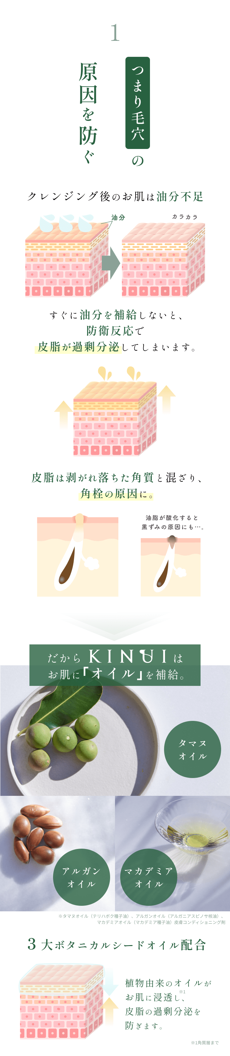 
1.つまり毛穴の原因を防ぐ
クレンジング後のお肌は油分不足
すぐに油分を補給しないと、防衛反応で皮脂が過剰分泌してしまいます。
皮脂は剥がれ落ちた角質と混ざり、角栓の原因に。
油脂が酸化すると黒ずみの原因にも…。
だからKINUIはお肌に｢オイル｣を補給。
アルガンオイル
タマヌオイル
マカデミアオイル
３大ボタニカルシードオイル配合
植物由来のオイルがお肌に浸透し、皮脂の過剰分泌を防ぎます。
        