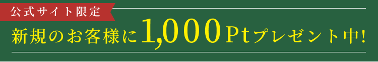 
公式サイト限定
新規会員登録で1,000ptプレゼント中！
        