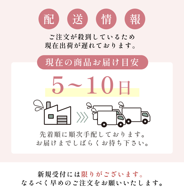 
配送情報　ご注文が殺到しているため、現在出荷が遅れています
        