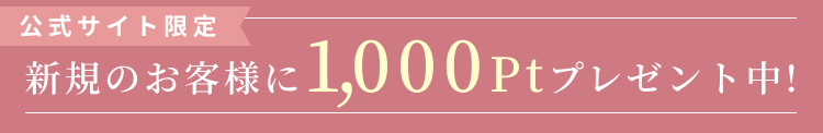 
公式サイト限定
新規会員登録で1,000ptプレゼント中！
        