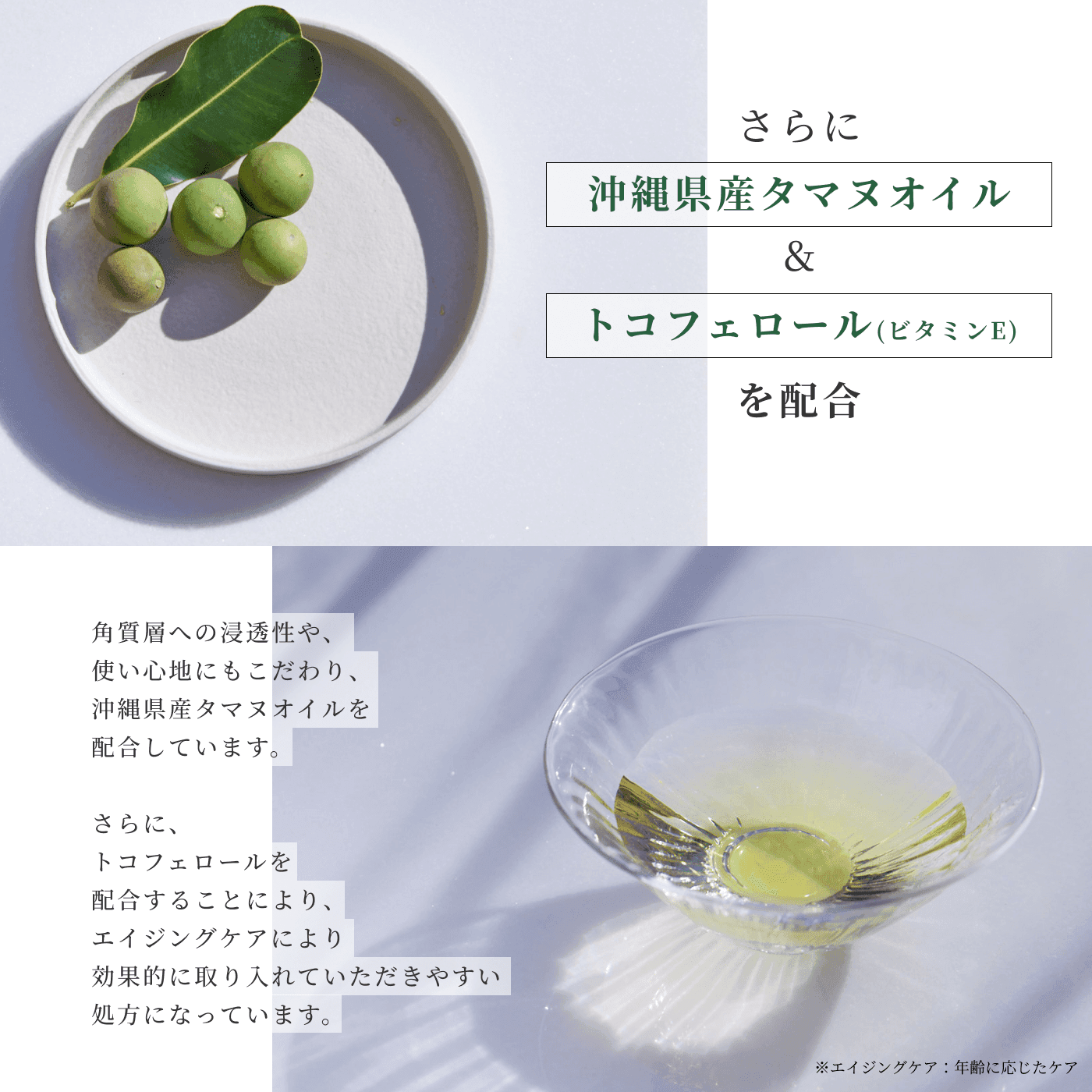 VitaminXtoZ キャンディビタミン 声優直筆サイン色紙 KINUI C25リッチセラム【公式サイト限定】キャンペーンページ
