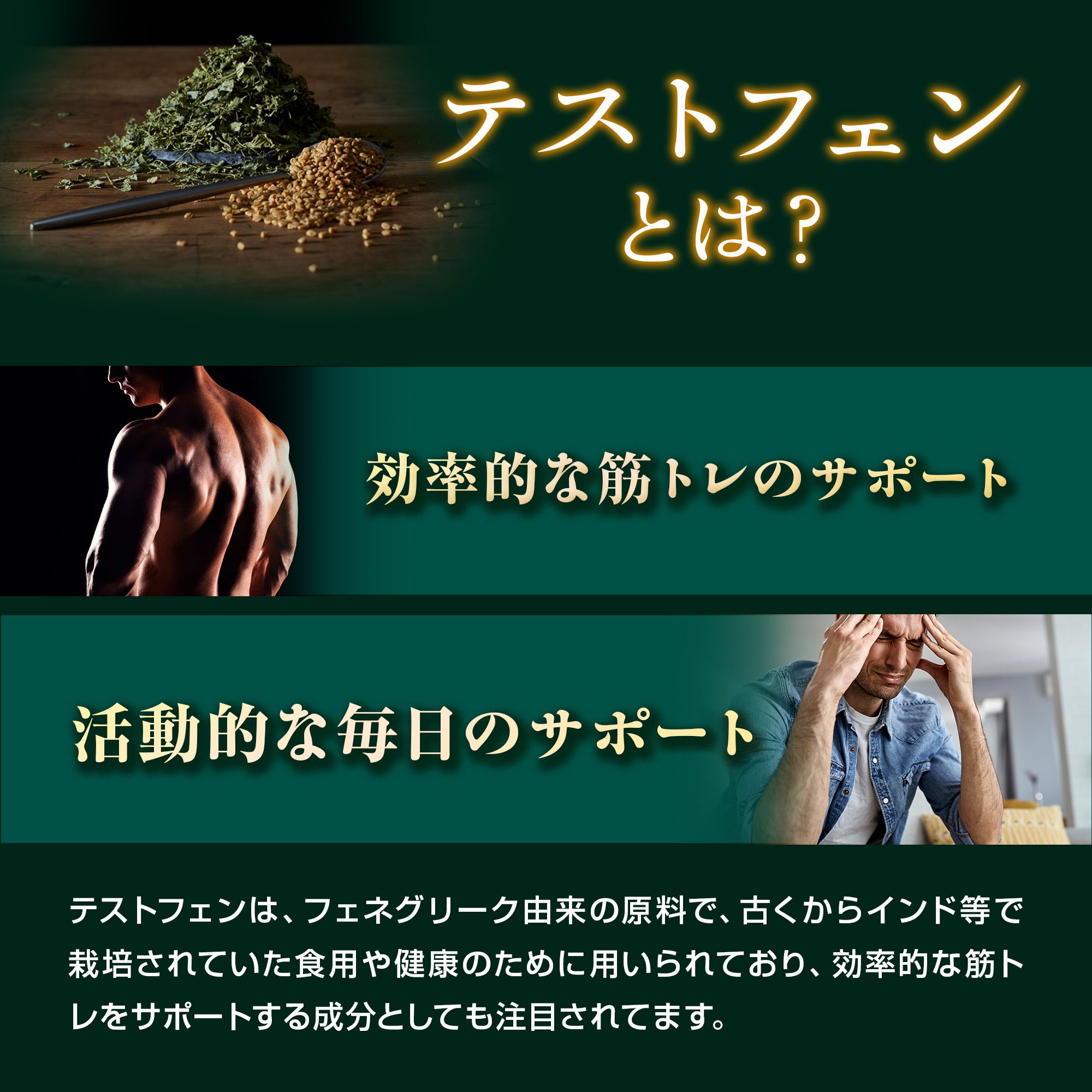 活力支援サプリメント
