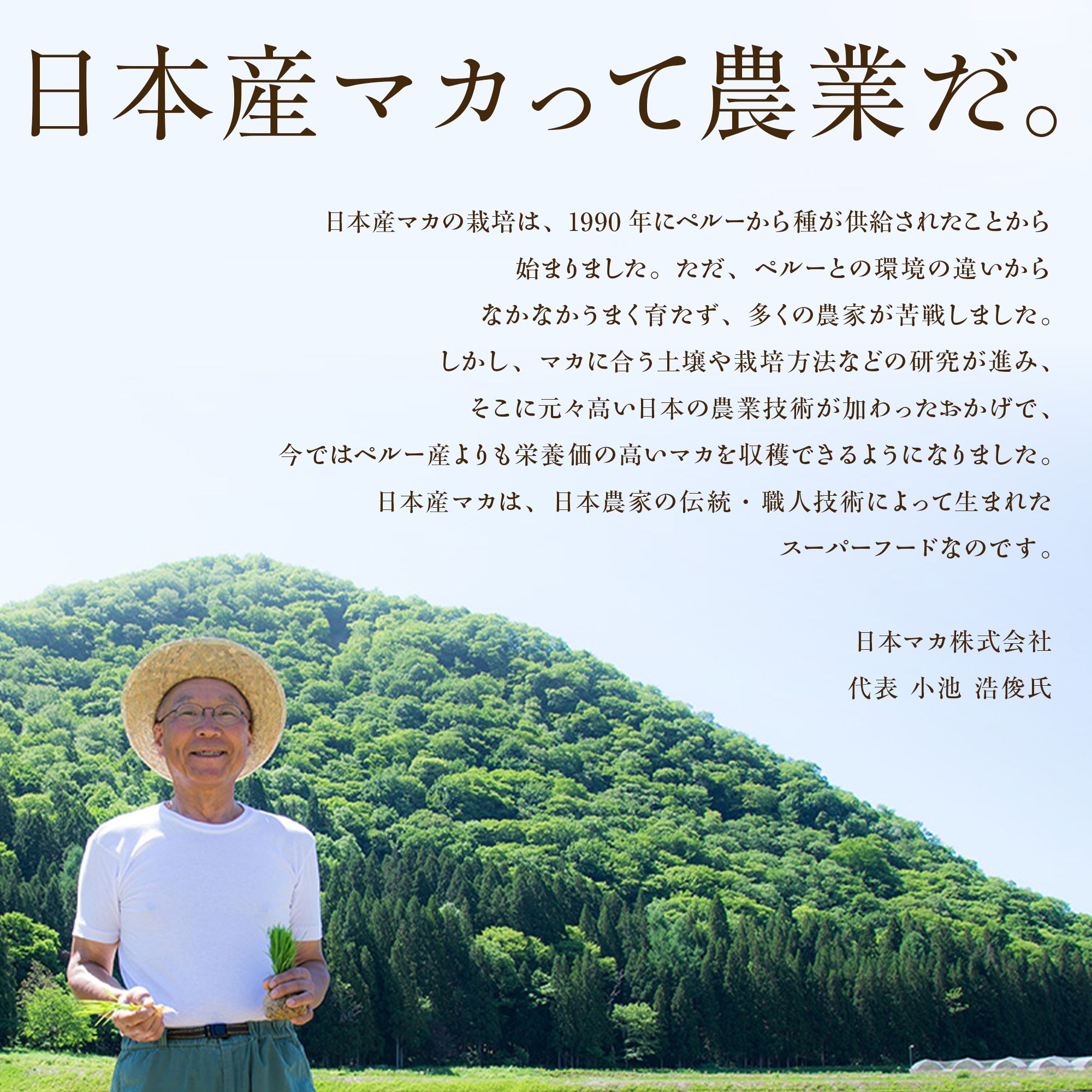 活力支援サプリメント 12粒