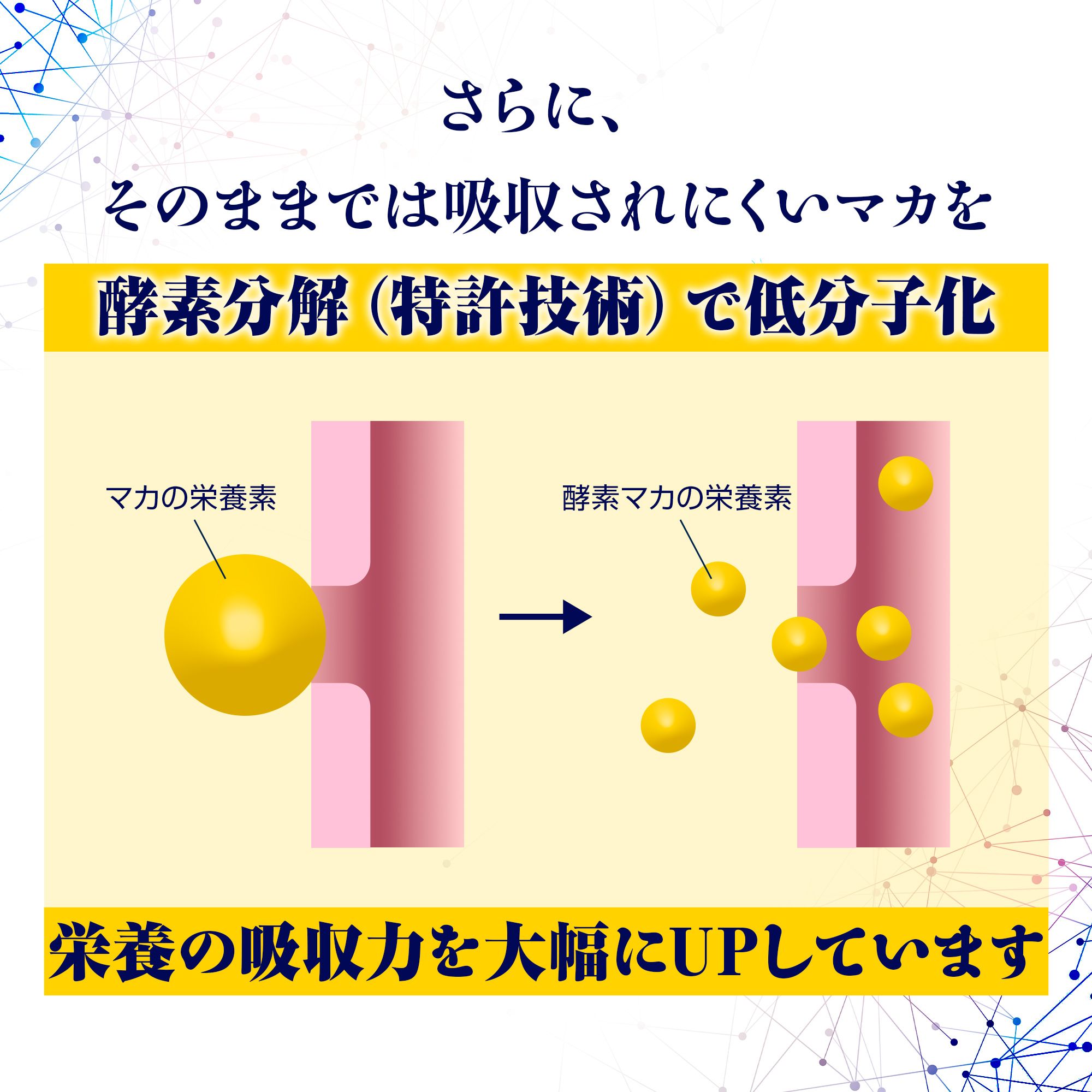 活力支援サプリメント