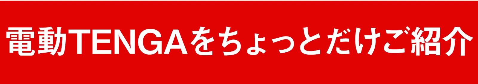 電動TENGAをちょっとだけご紹介