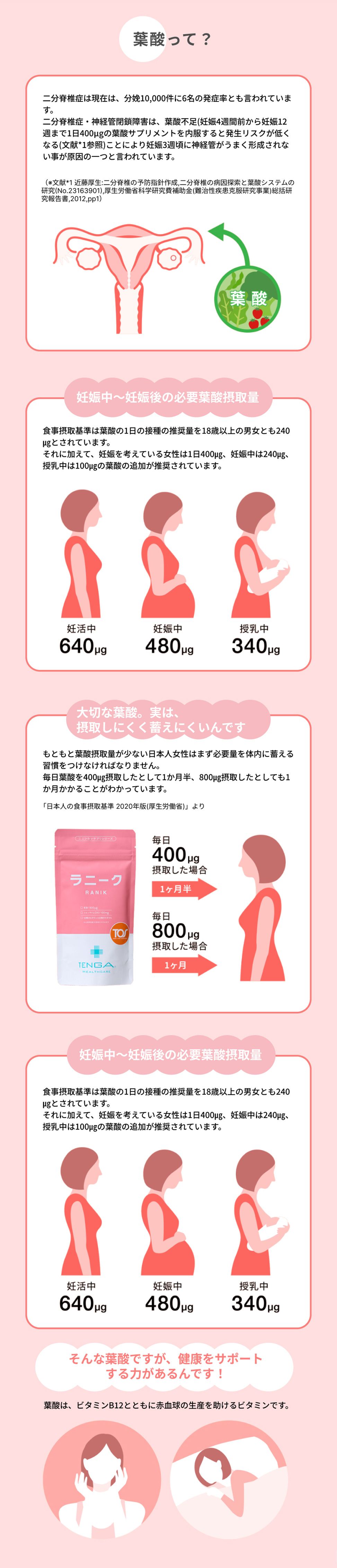 葉酸って？
