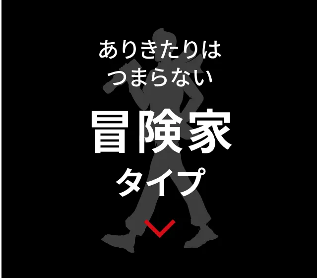 冒険家タイプ