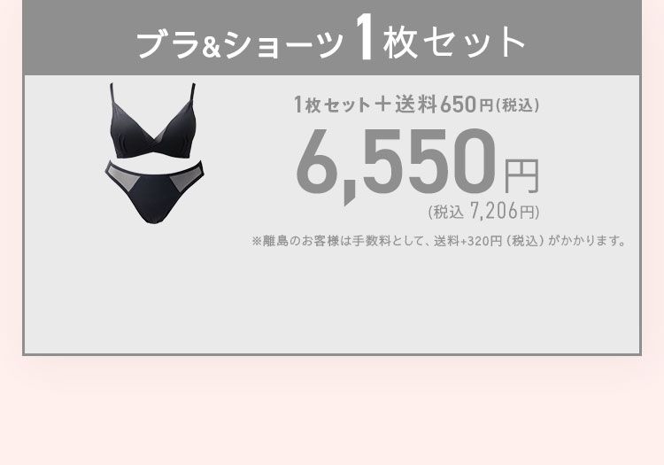 TOLEETY トゥリーティ 軽やかストレスフリーブラ＆ショーツセット