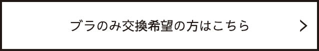 ブラのみ