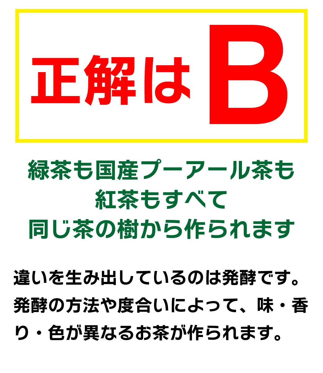 お茶クイズ答え