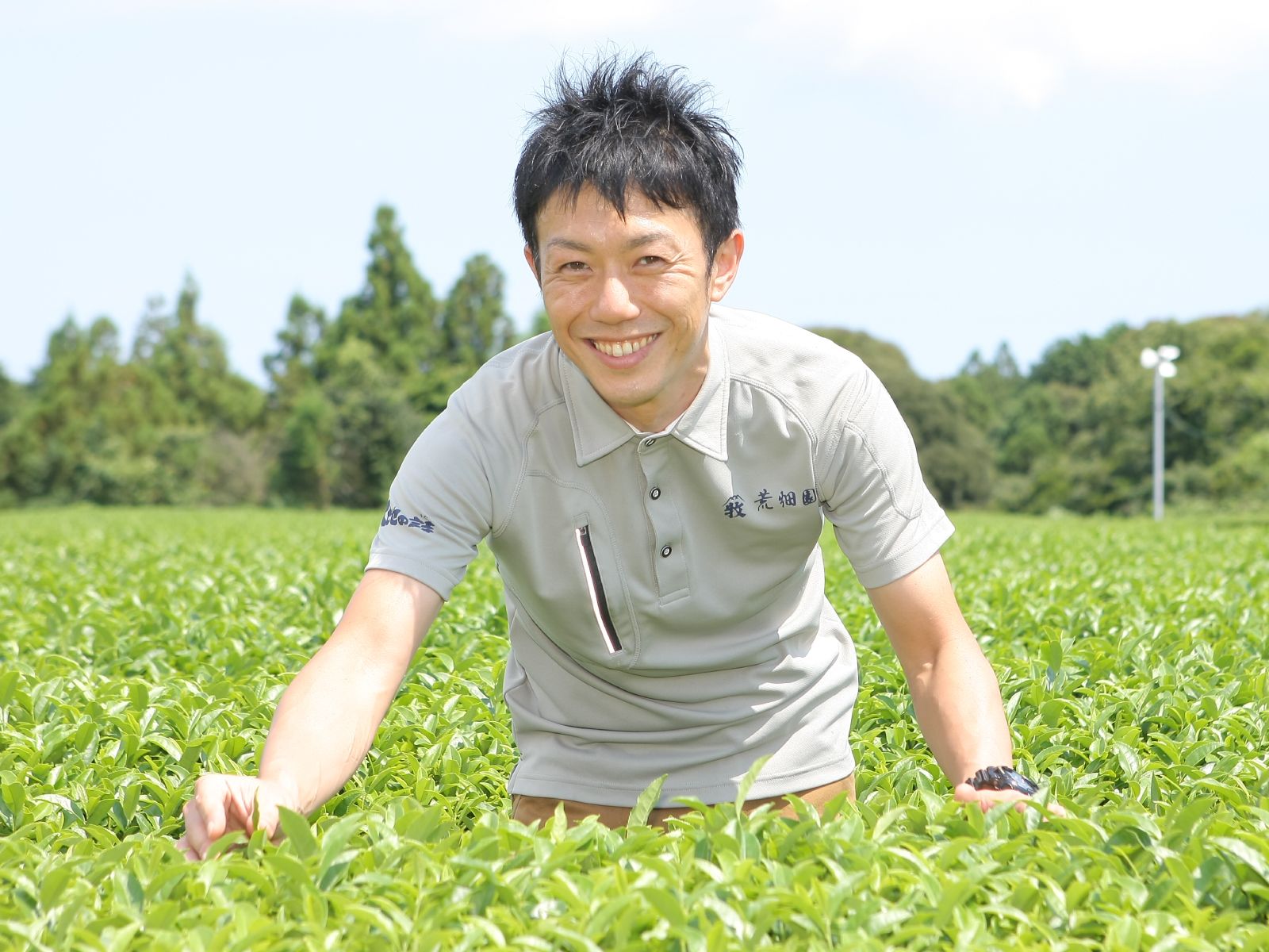 荒畑園イメージ