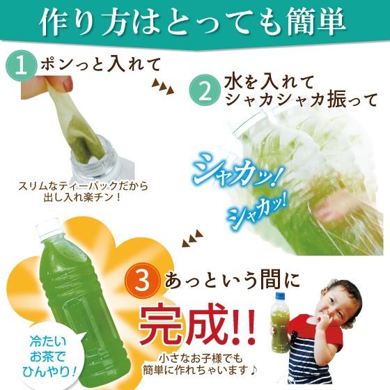 ■望 ペットボトル用12袋＋新茶 望金印ティーパックおまけ 送料無料　