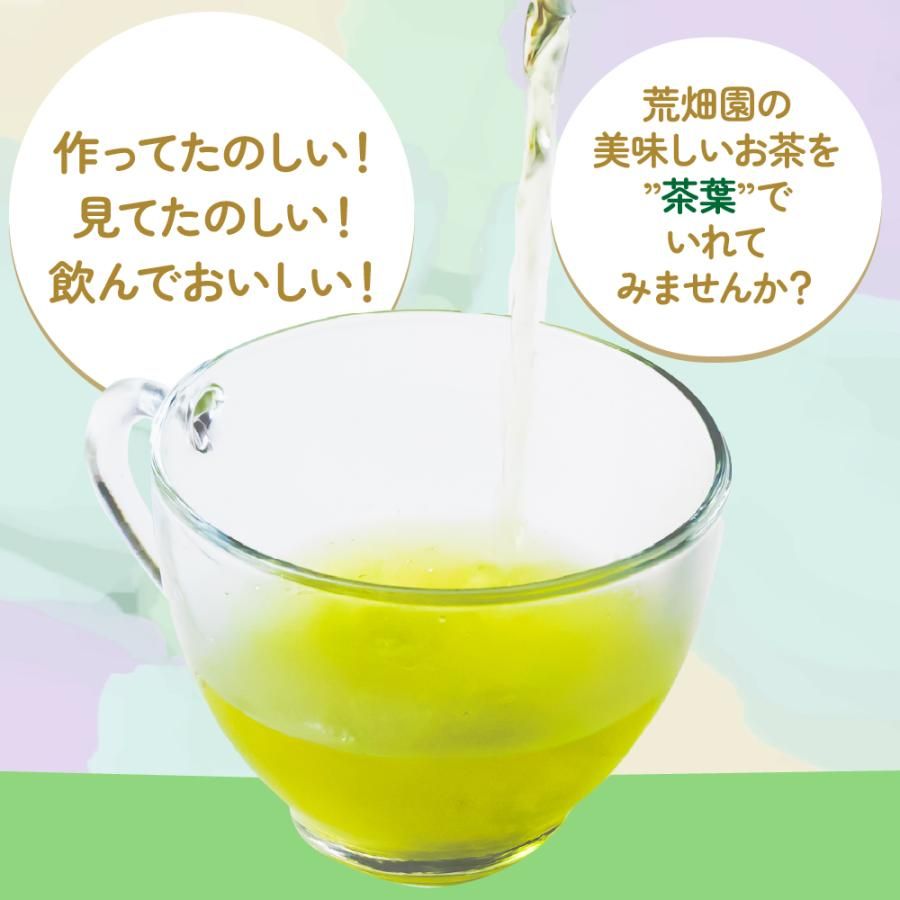 ■マッティーボトル（若草色） 650ml  送料無料 