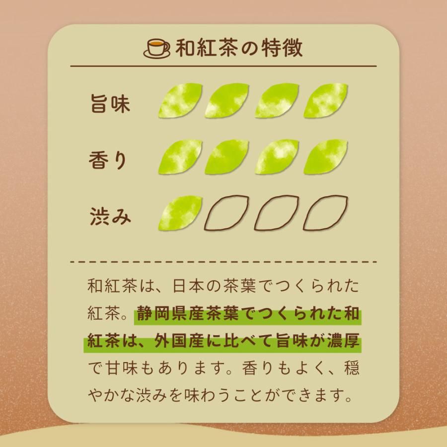 ■WEB はちみつ紅茶(2.5g×25ヶ入) 送料無料　