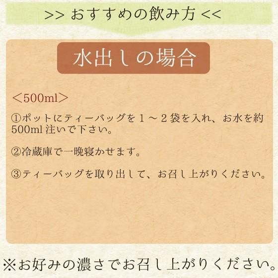 ■WEB がぶ飲み深むしティーパック 送料無料　