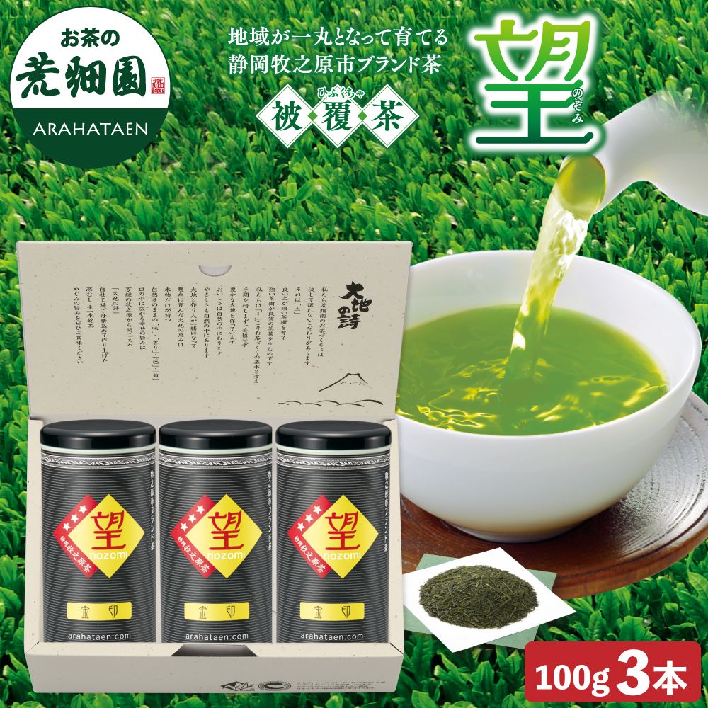 17%OFF 望 金印3本箱入　