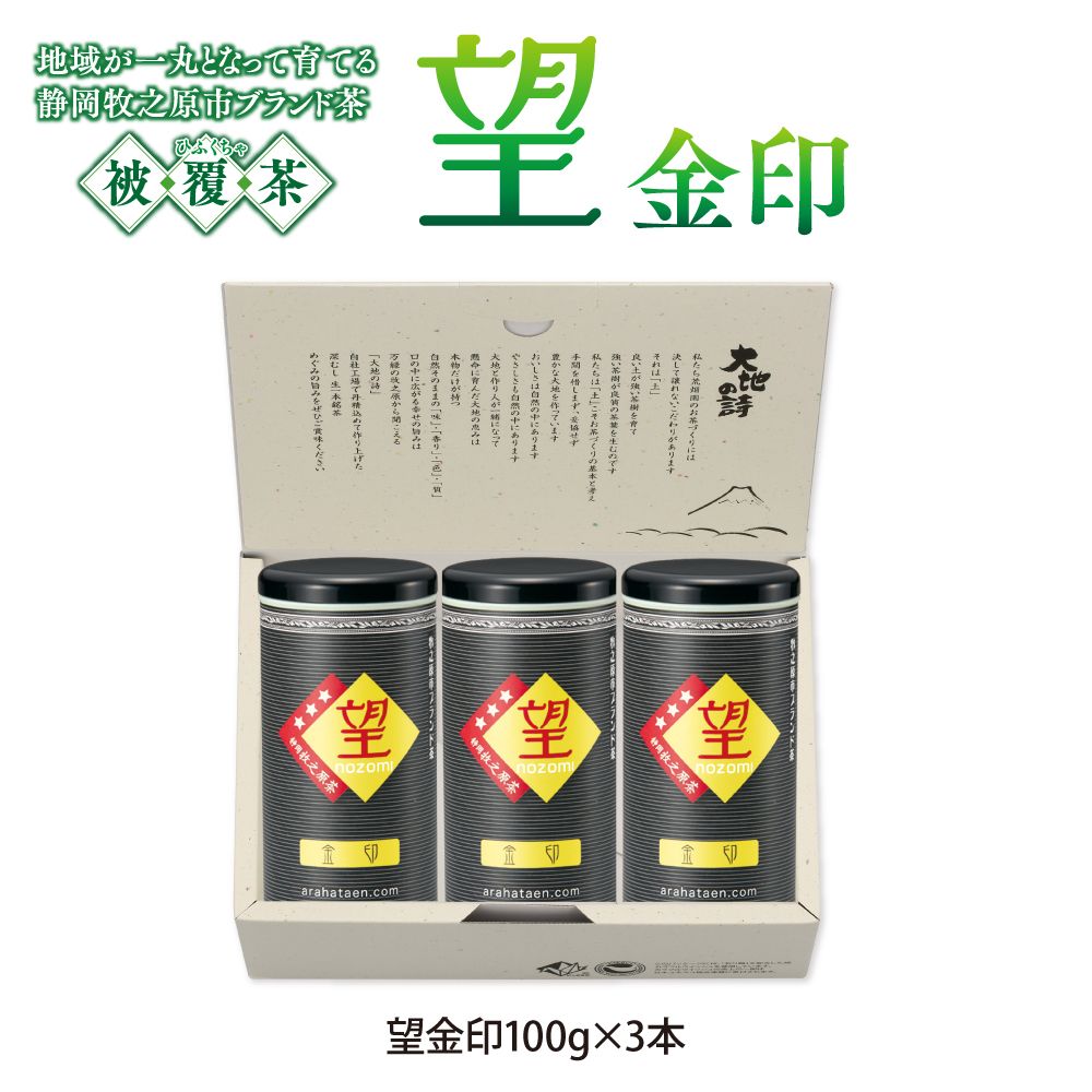 17%OFF 望 金印3本箱入　