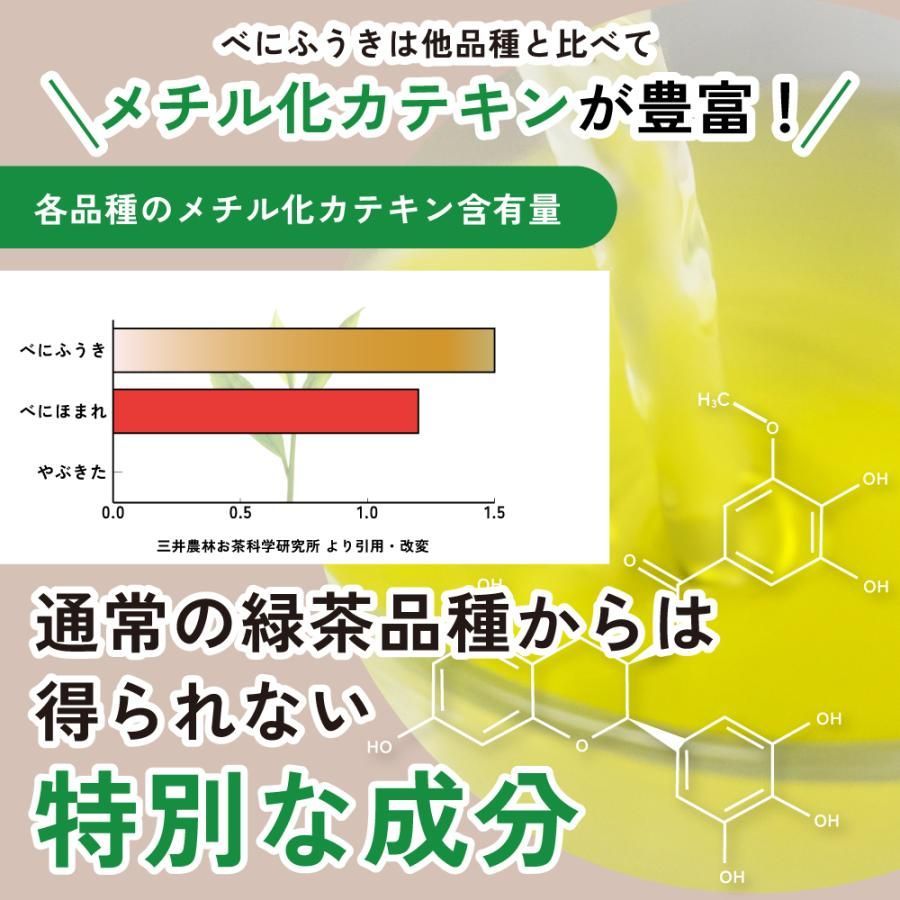 ■WEB べにふうきティーパックタイプ(3g×30ヶ入) 送料無料　