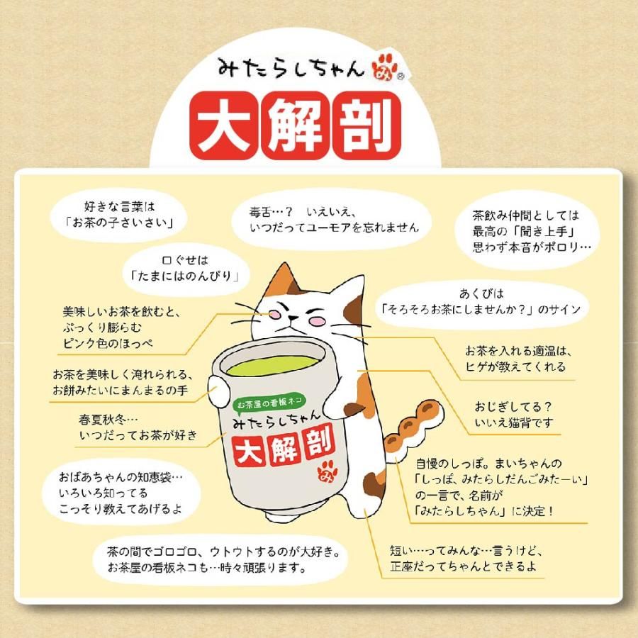 ■みたらしちゃんフィギュア&ティーパックセット 送料無料　