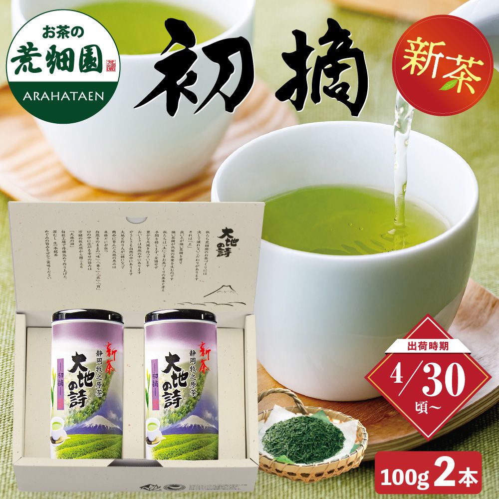 新茶 初摘100g紙缶入×2本箱入 ※出荷時期4/30頃〜　
