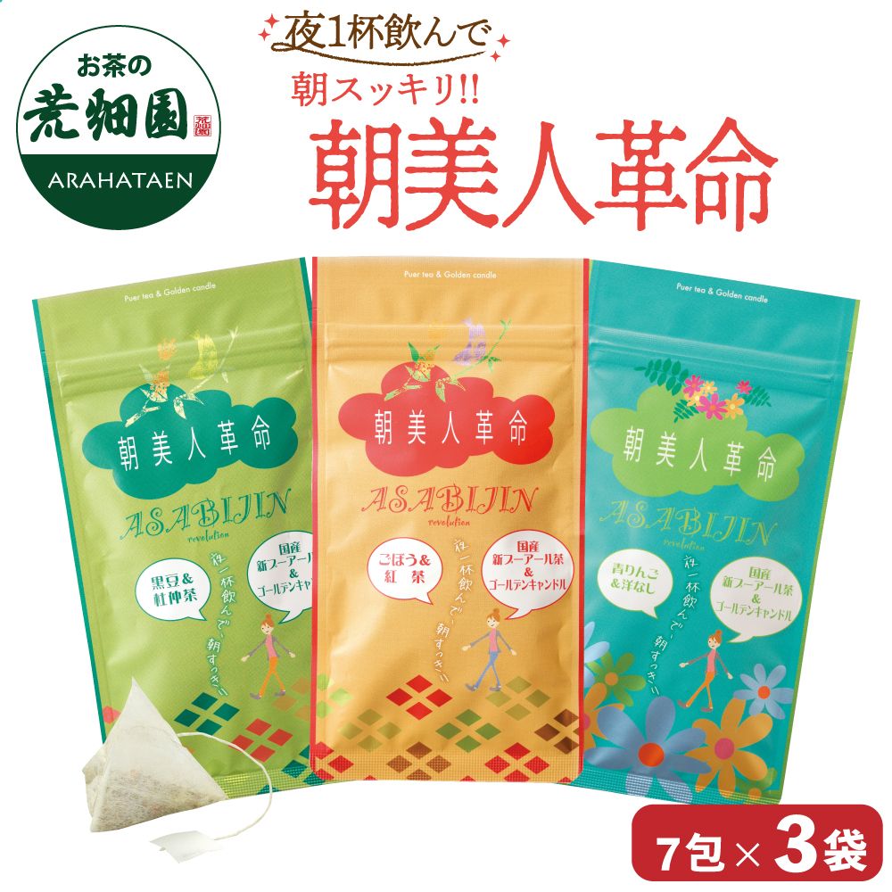 朝美人革命3種類　