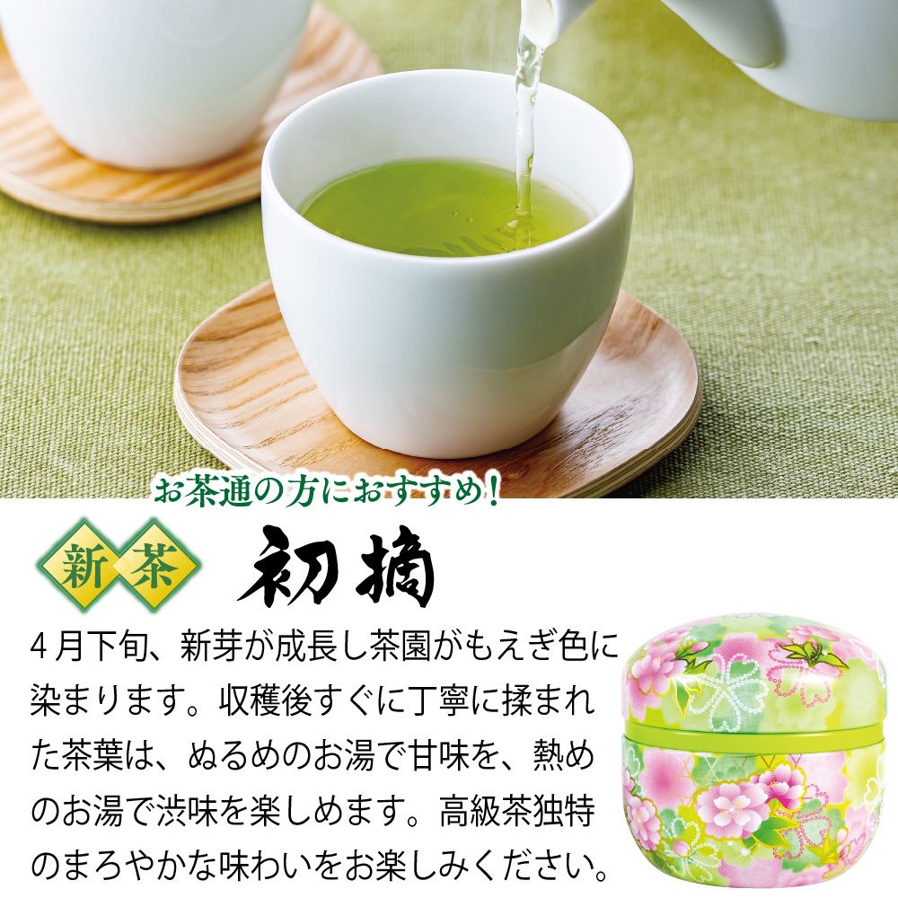 初摘・割れない急須箱入 特別送料無料 ※出荷時期4/30頃〜　