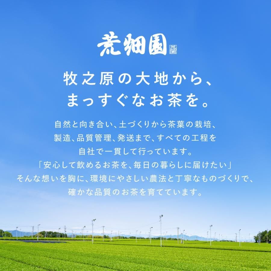 ■がぶがぶ飲める静岡深むし茶3袋セット 