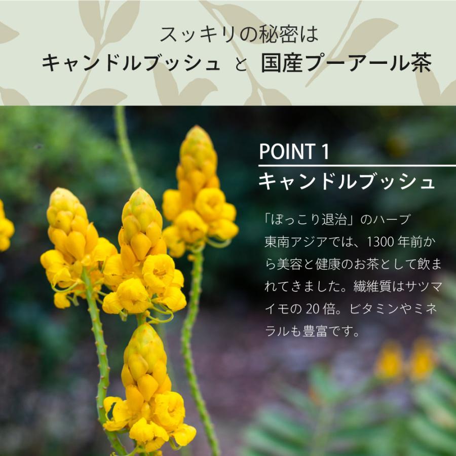 10%OFF 朝美人革命 5種類　