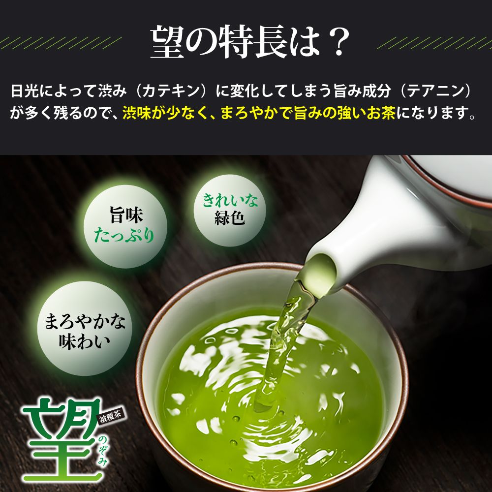 10%OFF 望銀印100g　