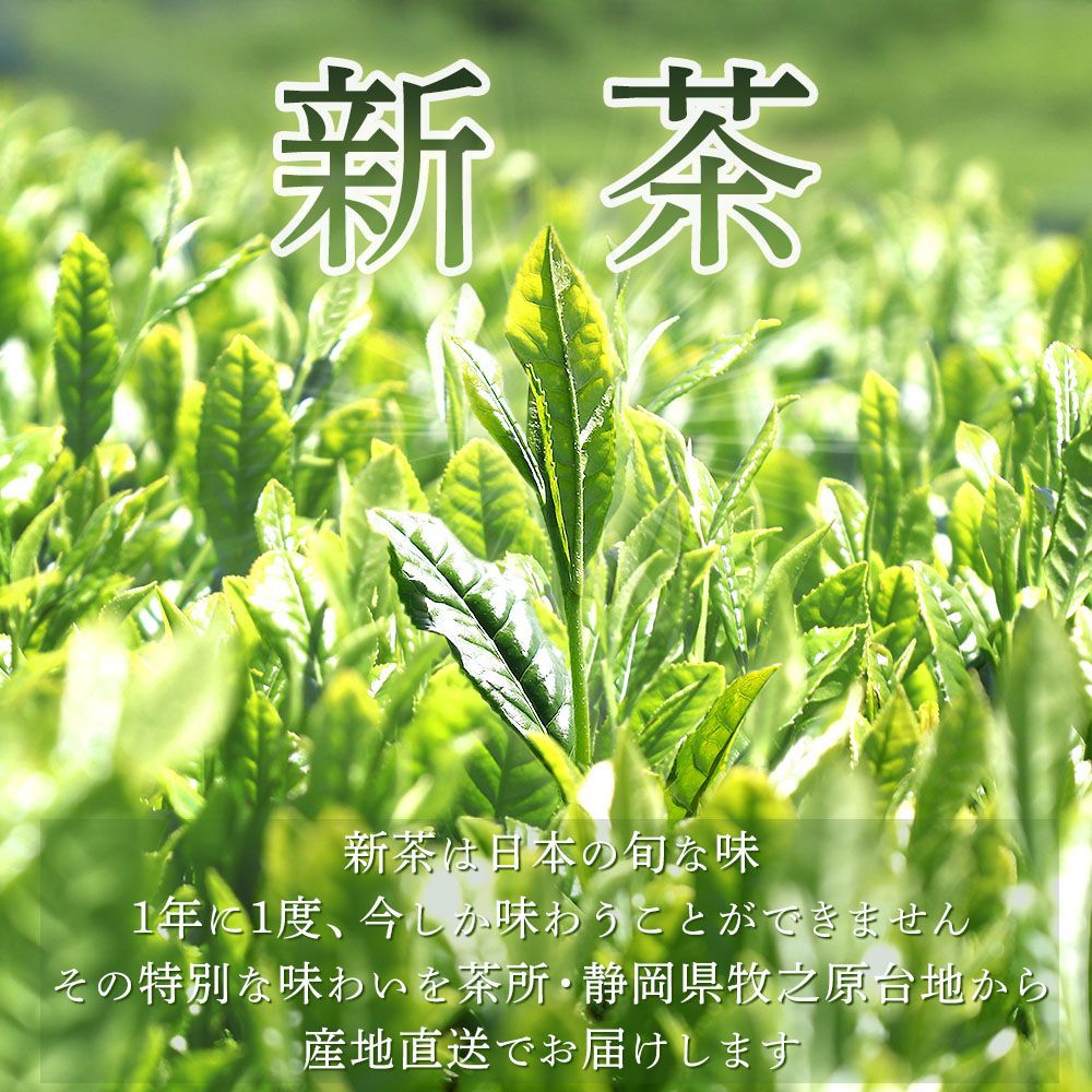 ■新茶 極上望1袋＋新茶 極上1袋 送料無料※出荷時期4/27頃〜　