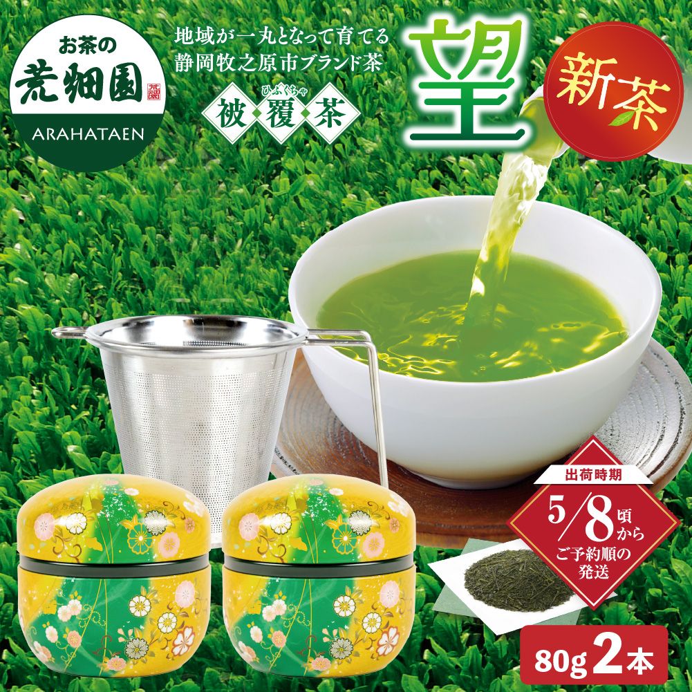 望 金印・茶こし箱入 ※出荷時期5/8頃〜　