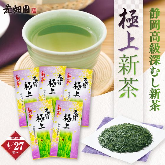 新茶 極上100g入×5袋セット 送料無料 ※出荷時期4/27頃〜　