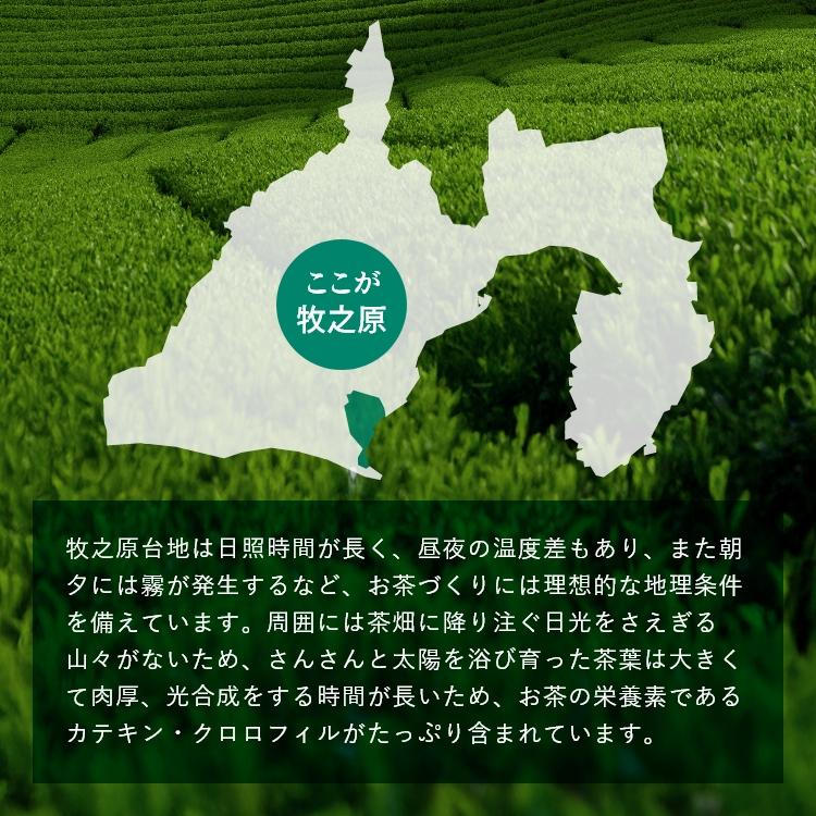 ■新茶 生粋生1袋＋新茶 極上荒茶1袋＋新茶 特選荒茶1袋 送料無料※出荷時期5/12頃〜