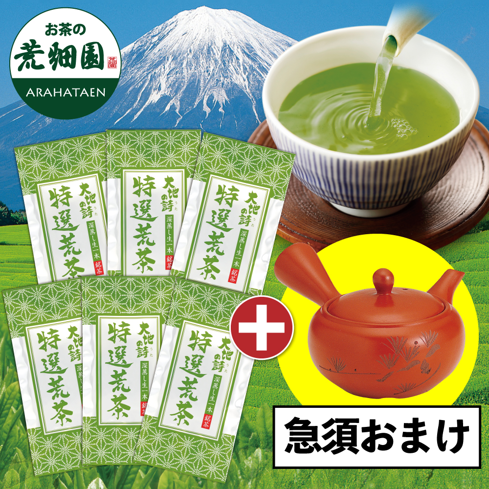 ■特選荒茶6袋+帯網急須おまけ 送料無料　