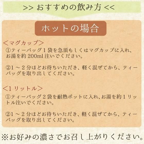 ■WEB がぶ飲み深むしティーパック 送料無料　