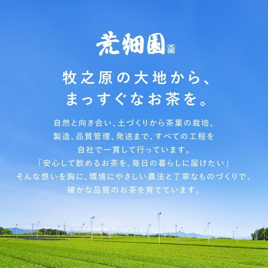 ■43％OFF がぶ飲み静岡深むし茶6袋+食品おまけ 送料無料　