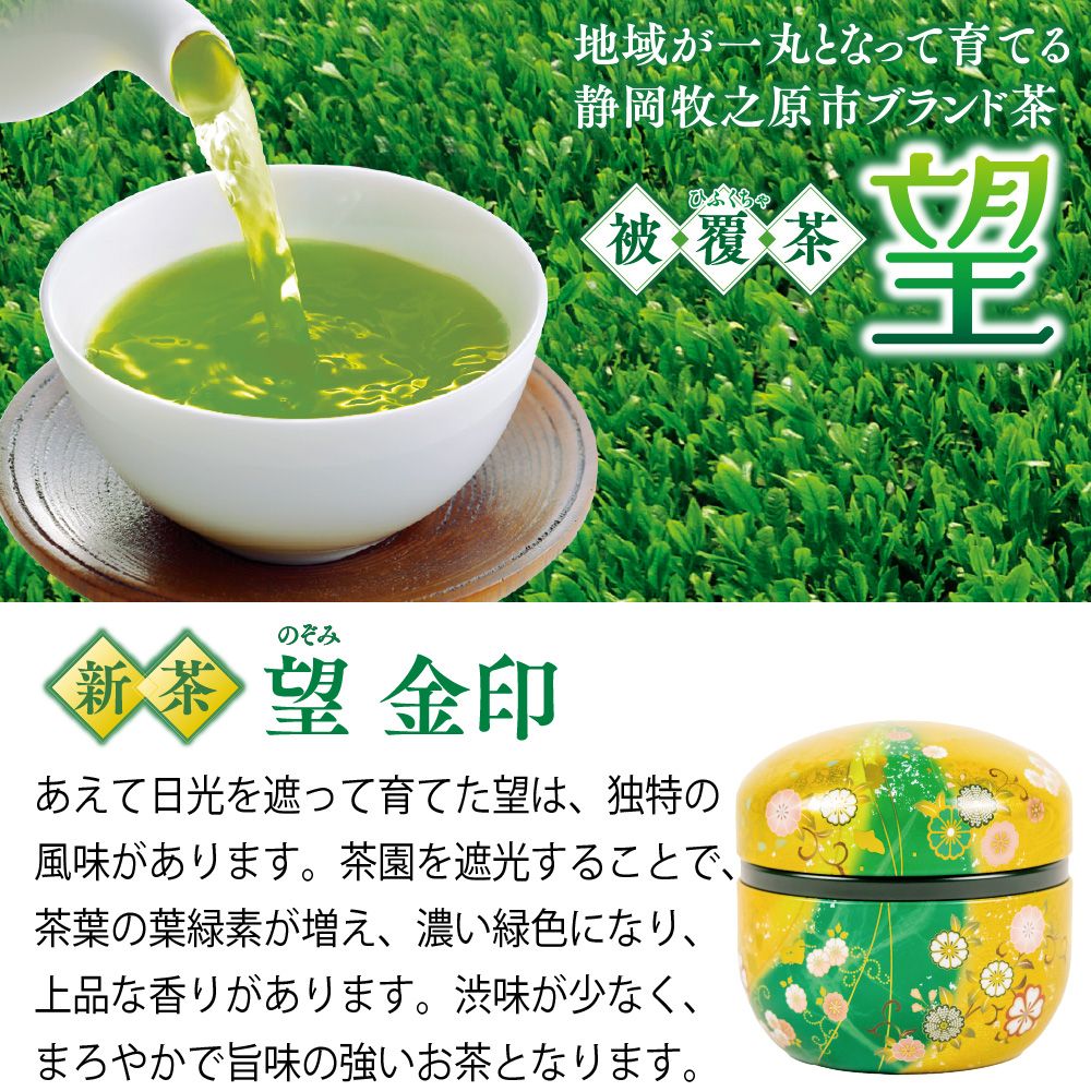 望 金印・割れない急須箱入 ※出荷時期5/8頃〜　