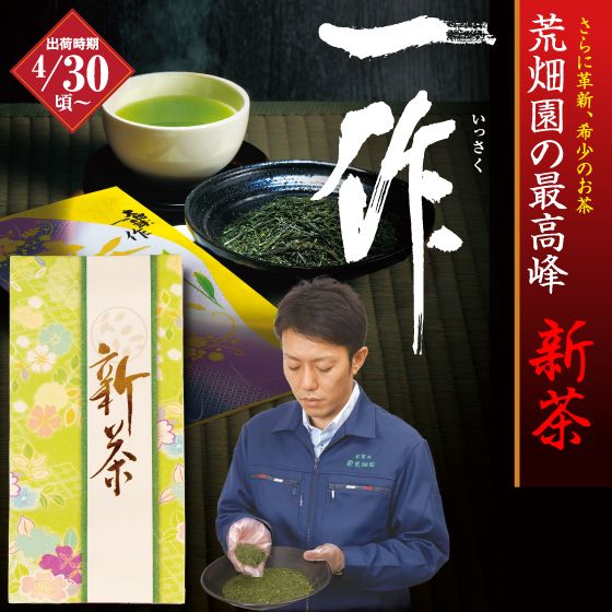 新茶 一作 100g袋入(たとう紙入) ※出荷時期4/30頃〜　